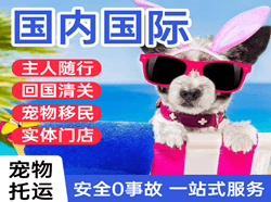 荷花航空货运国际宠物托运 【国
